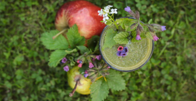 smoothie blendea