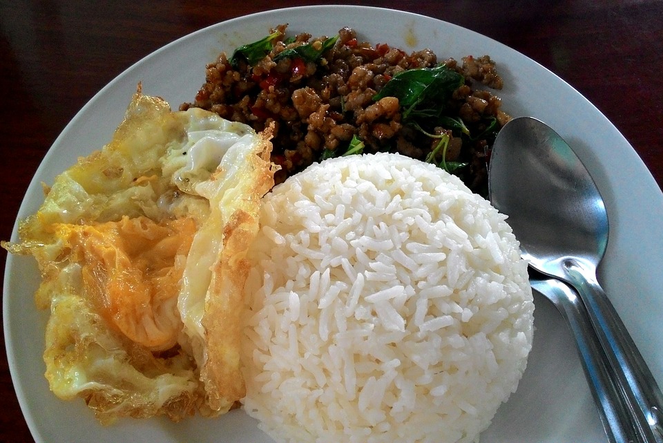 bílkovinové jídlo s rýží